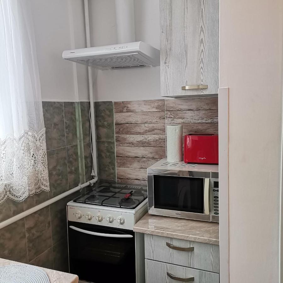 Appartement Garsoniera Braicu *