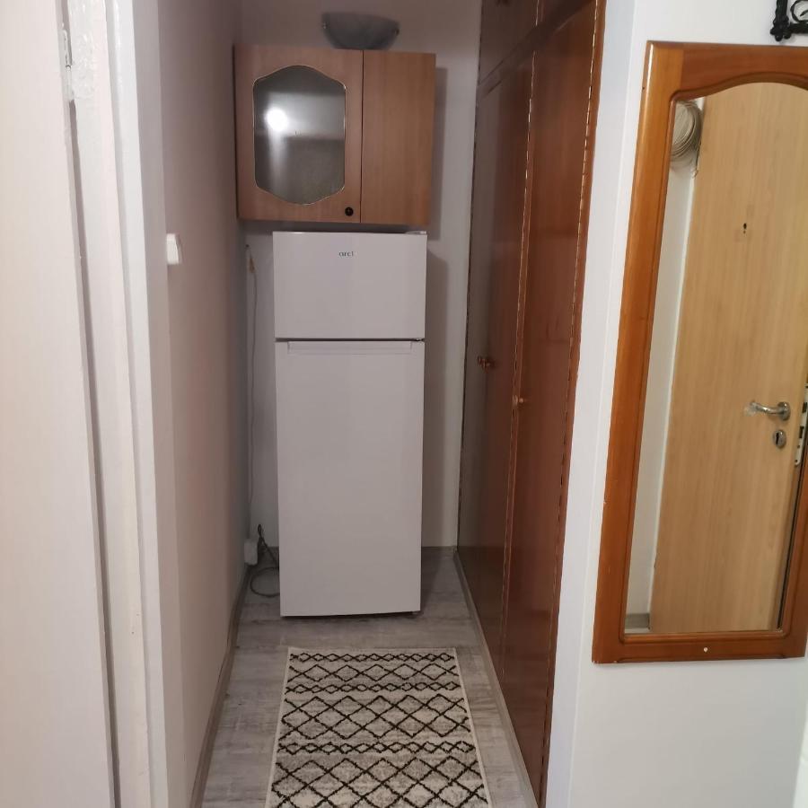 Appartement Garsoniera Braicu
